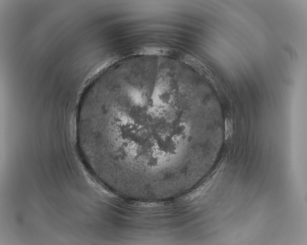 X0000112900349200909041727