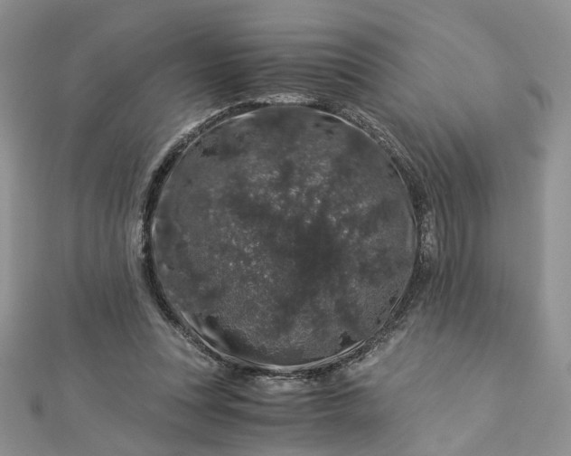 X0000112900351200909041727