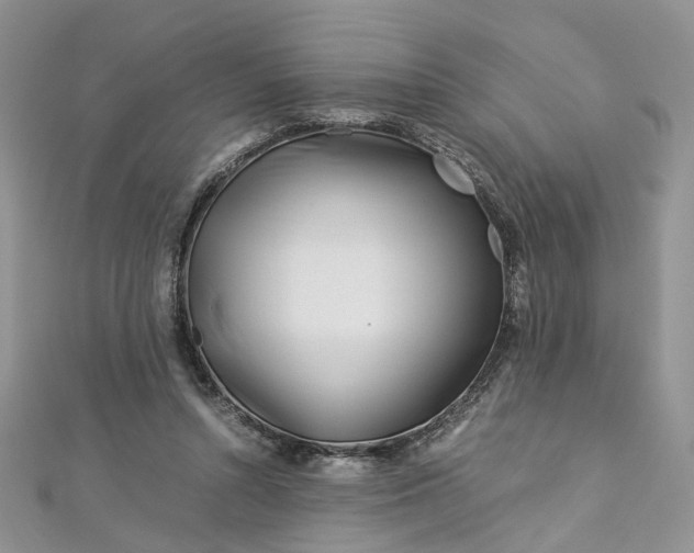 X0000112900352200909041727