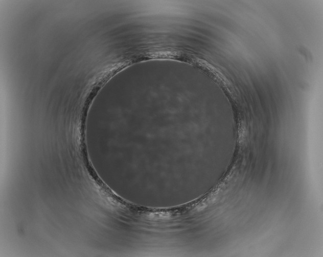 X0000112900353200909041727