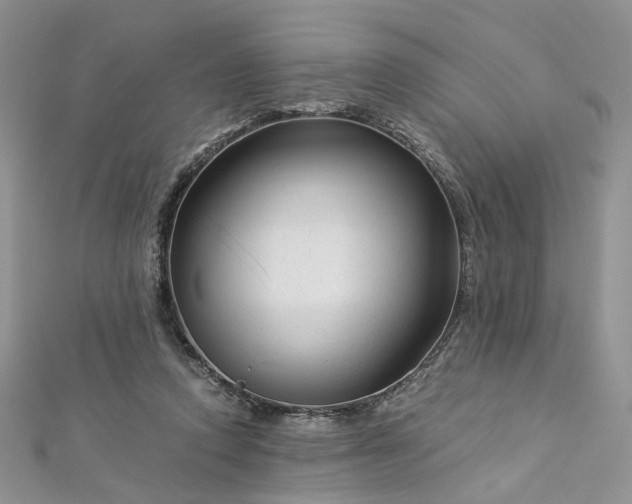 X0000112900354200909041727