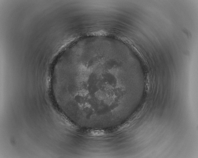 X0000112900355200909041727