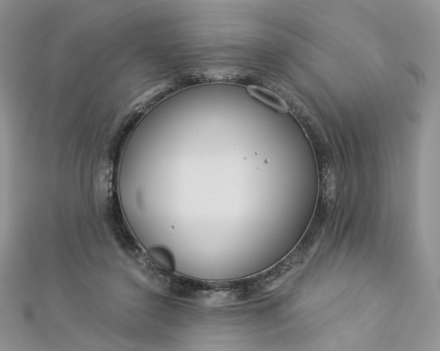 X0000112900356200909041727