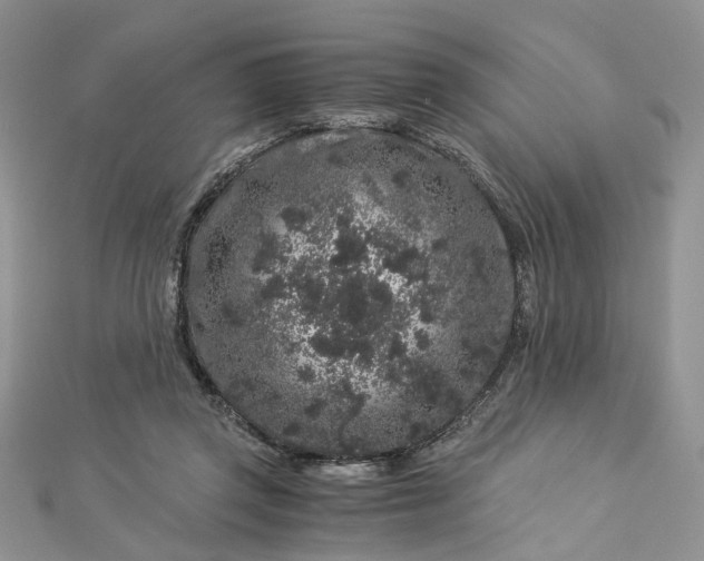 X0000112900357200909041727