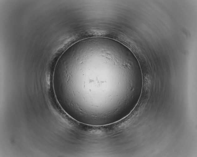 X0000112900358200909041727