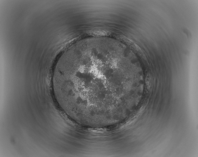 X0000112900359200909041727