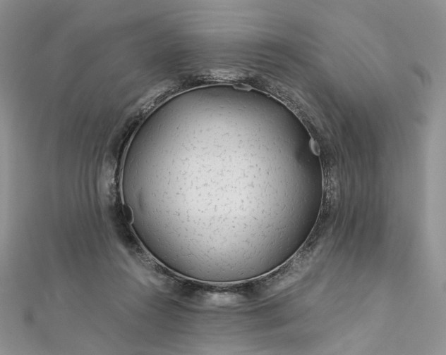 X0000112900360200909041727