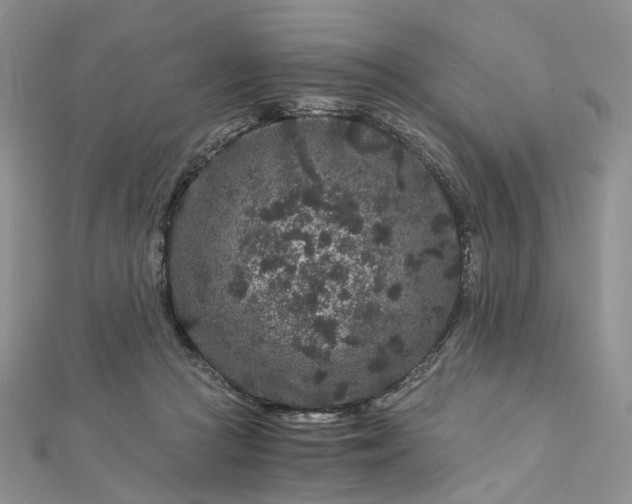 X0000112900361200909041727