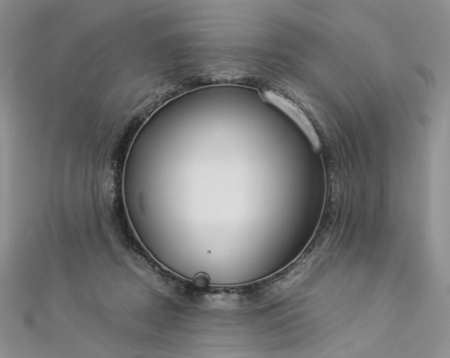 X0000112900362200909041727