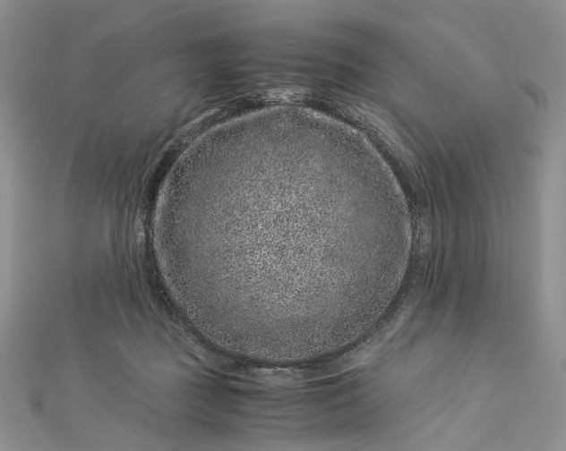 X0000112900363200909041727