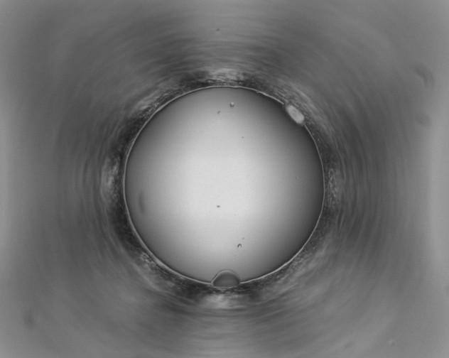 X0000112900364200909041727