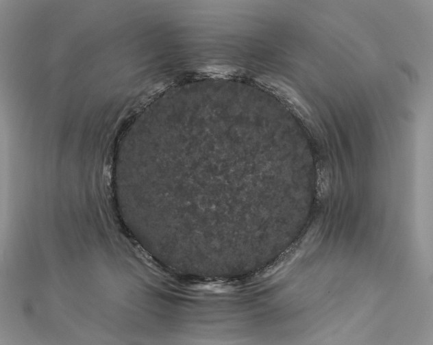 X0000112900365200909041727