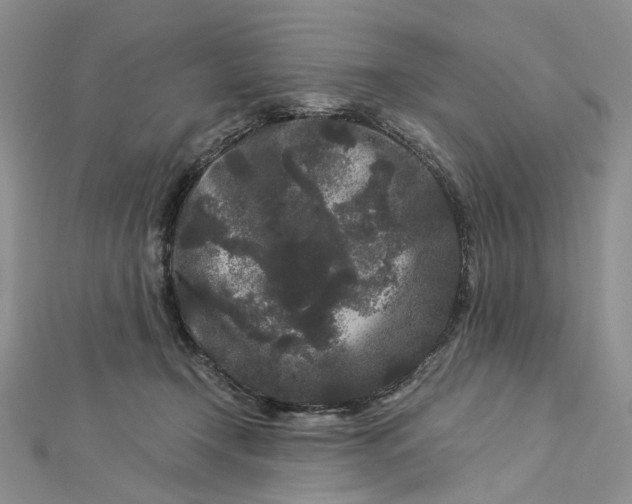 X0000112900366200909041727