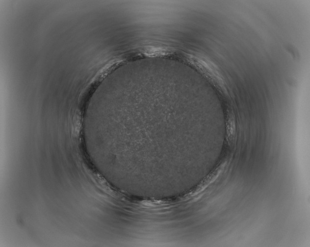 X0000112900367200909041727