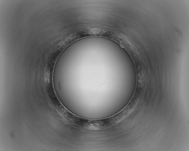 X0000112900368200909041727