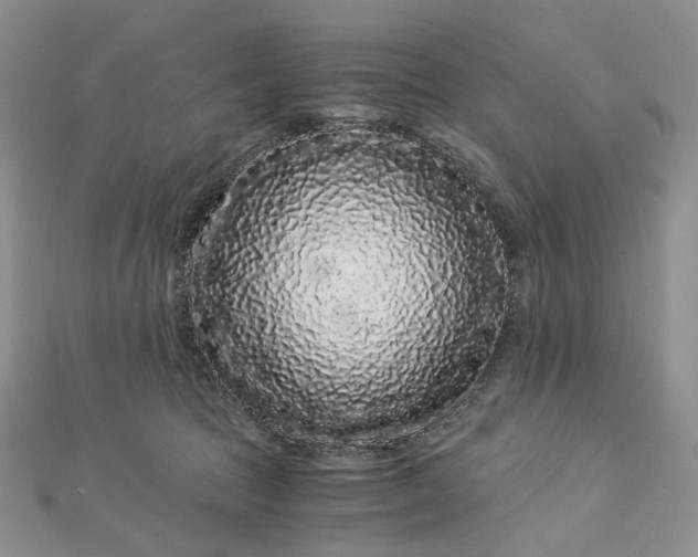 X0000112900369200909041727