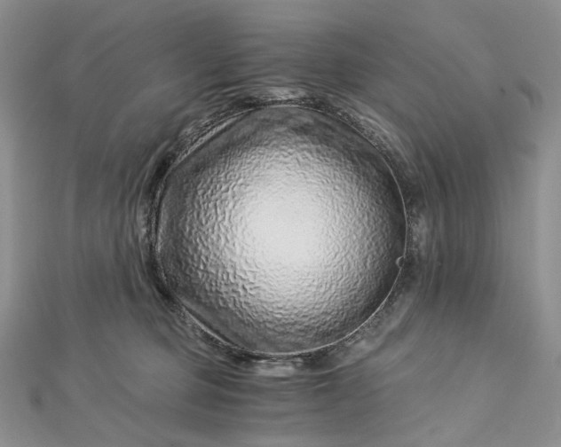 X0000112900373200909041727