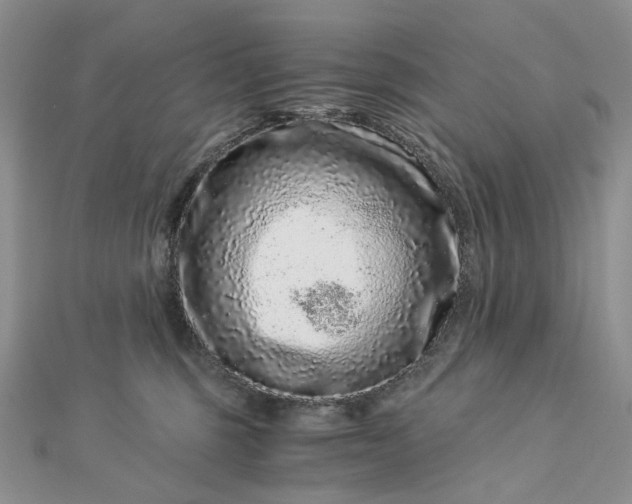 X0000112900375200909041727