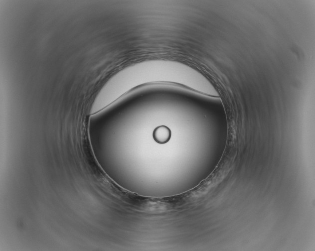 X0000112900376200909041727