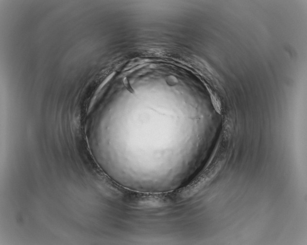 X0000112900377200909041727