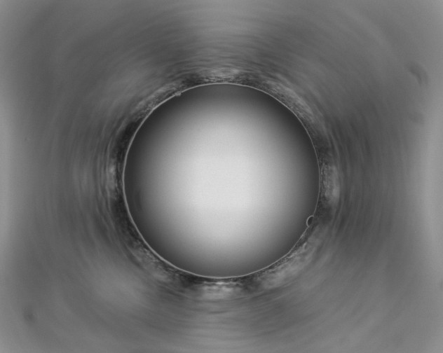 X0000112900378200909041727