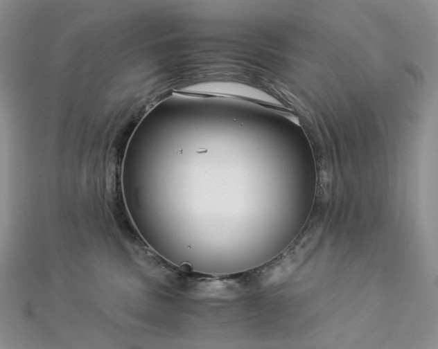 X0000112900379200909041727