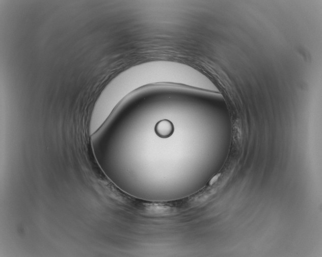 X0000112900380200909041727