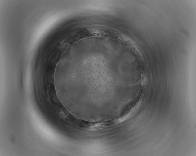 X0000112900382200909041727