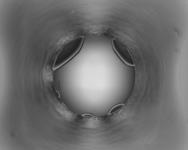 X0000112900384200909041728