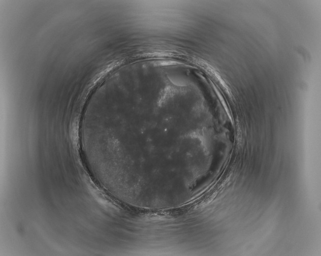 X0000112900386200909041727