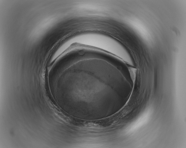 X0000112900387200909041727