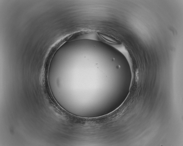 X0000112900388200909041727