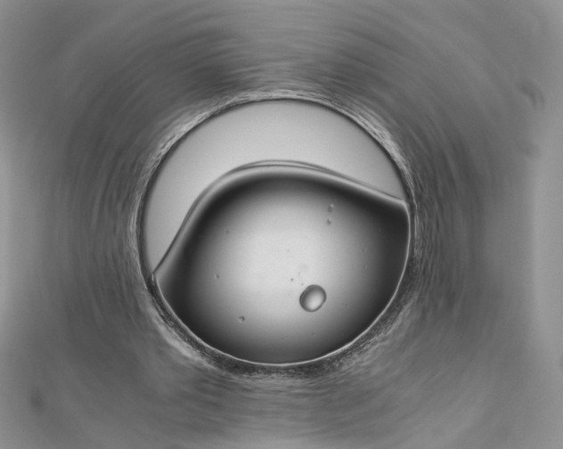 X0000112900389200909041727