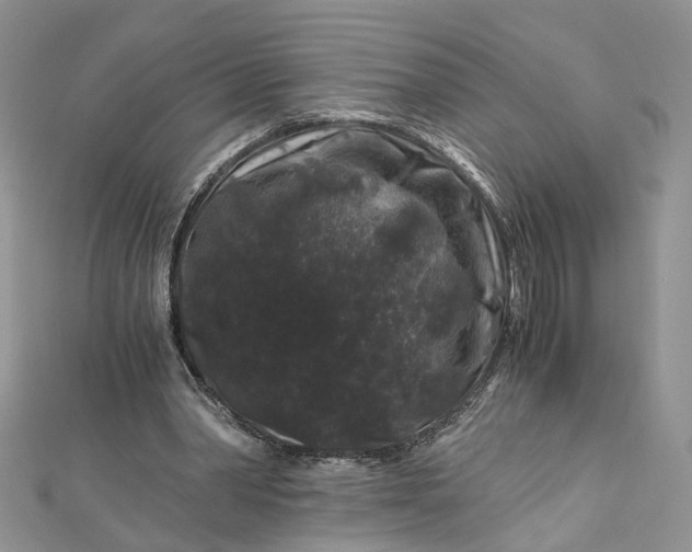 X0000112900390200909041727