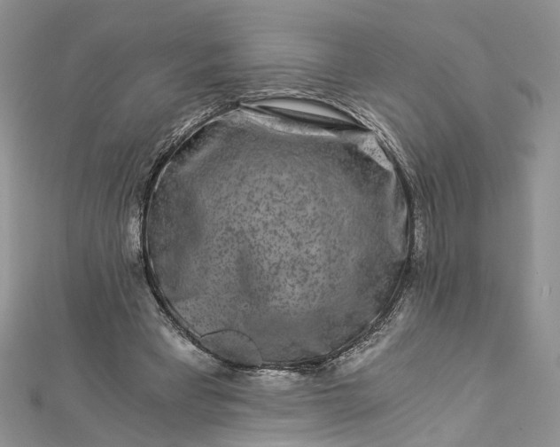 X0000112900393200909041727