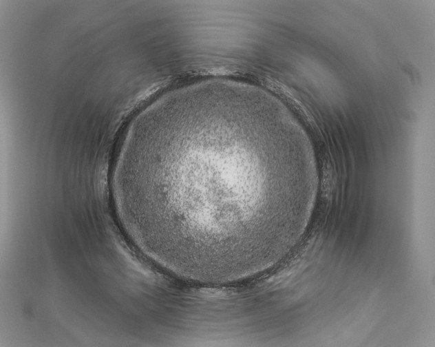 X0000112900394200909041727