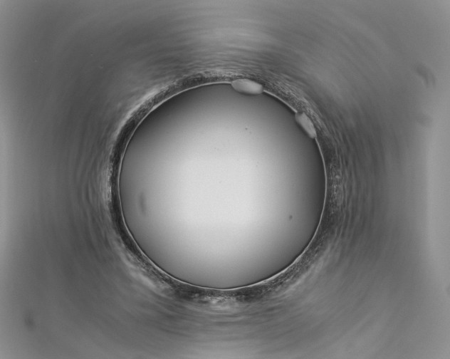 X0000112900395200909041727