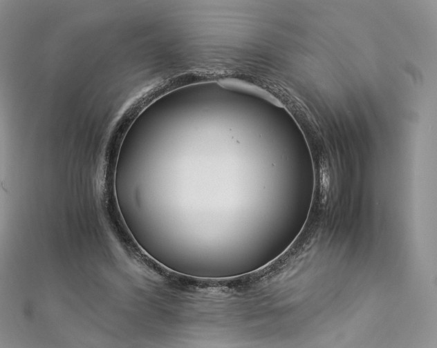 X0000112900396200909041727