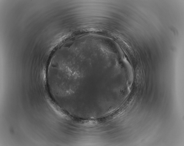 X0000112900398200909041727