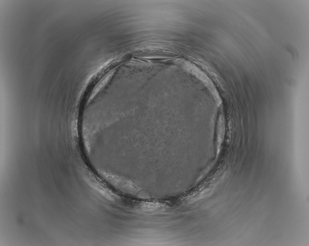 X0000112900399200909041727