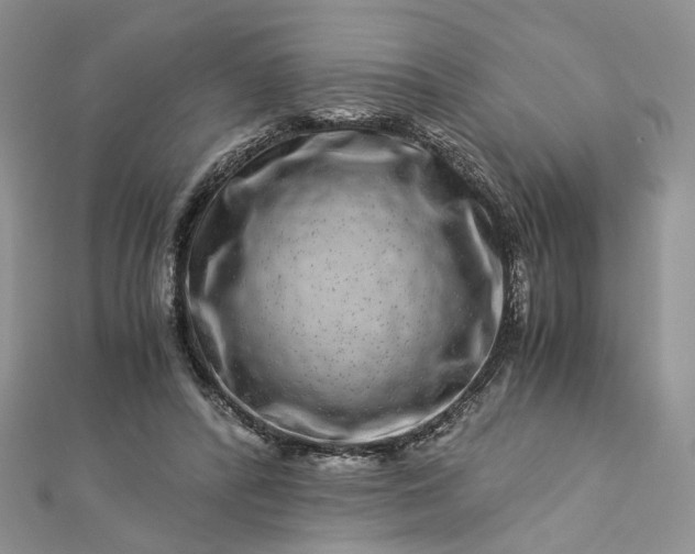 X0000112900400200909041727