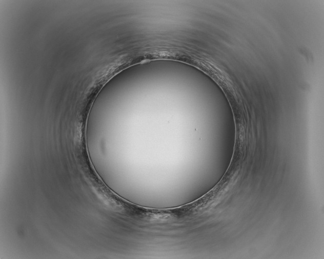 X0000112900401200909041727