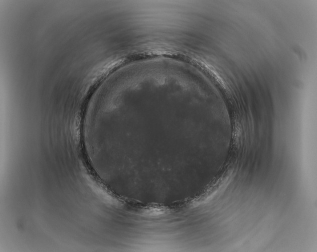 X0000112900402200909041727