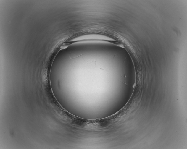 X0000112900403200909041727