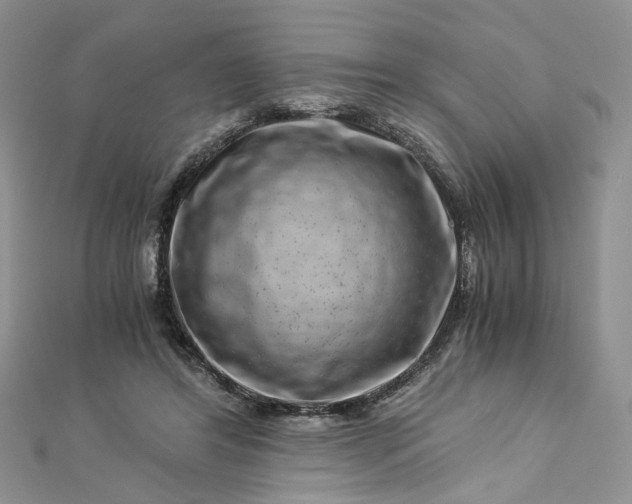 X0000112900404200909041727