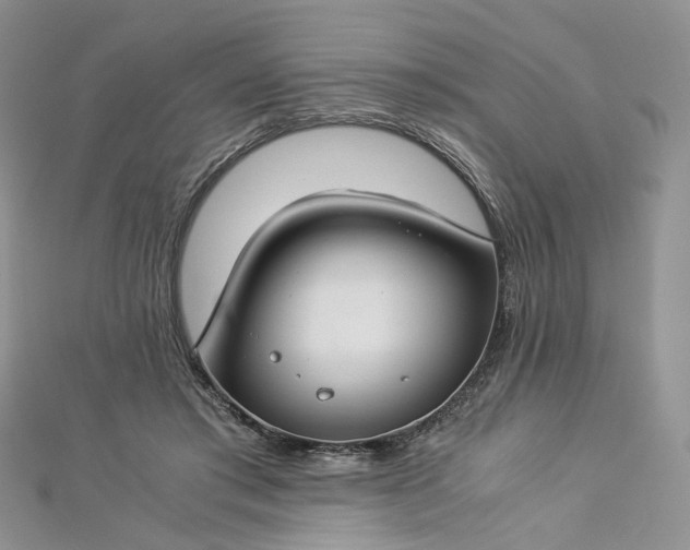 X0000112900405200909041727