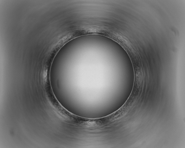 X0000112900406200909041727