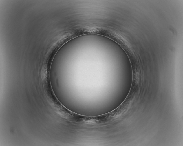 X0000112900407200909041727