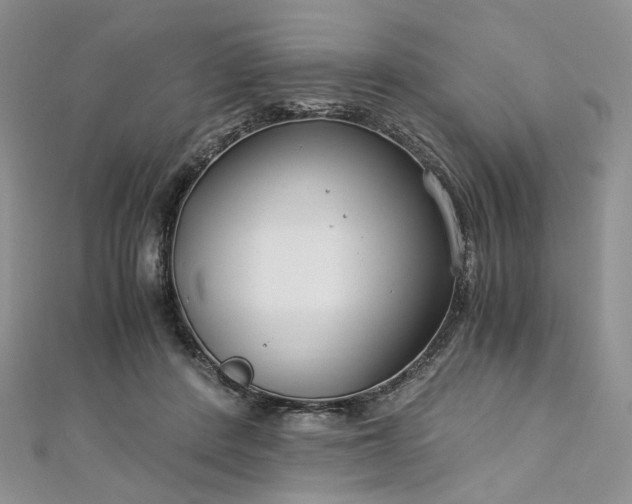 X0000112900408200909041727