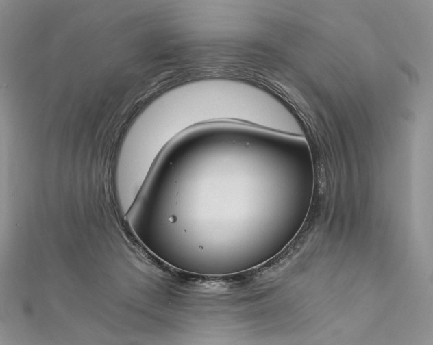 X0000112900409200909041727